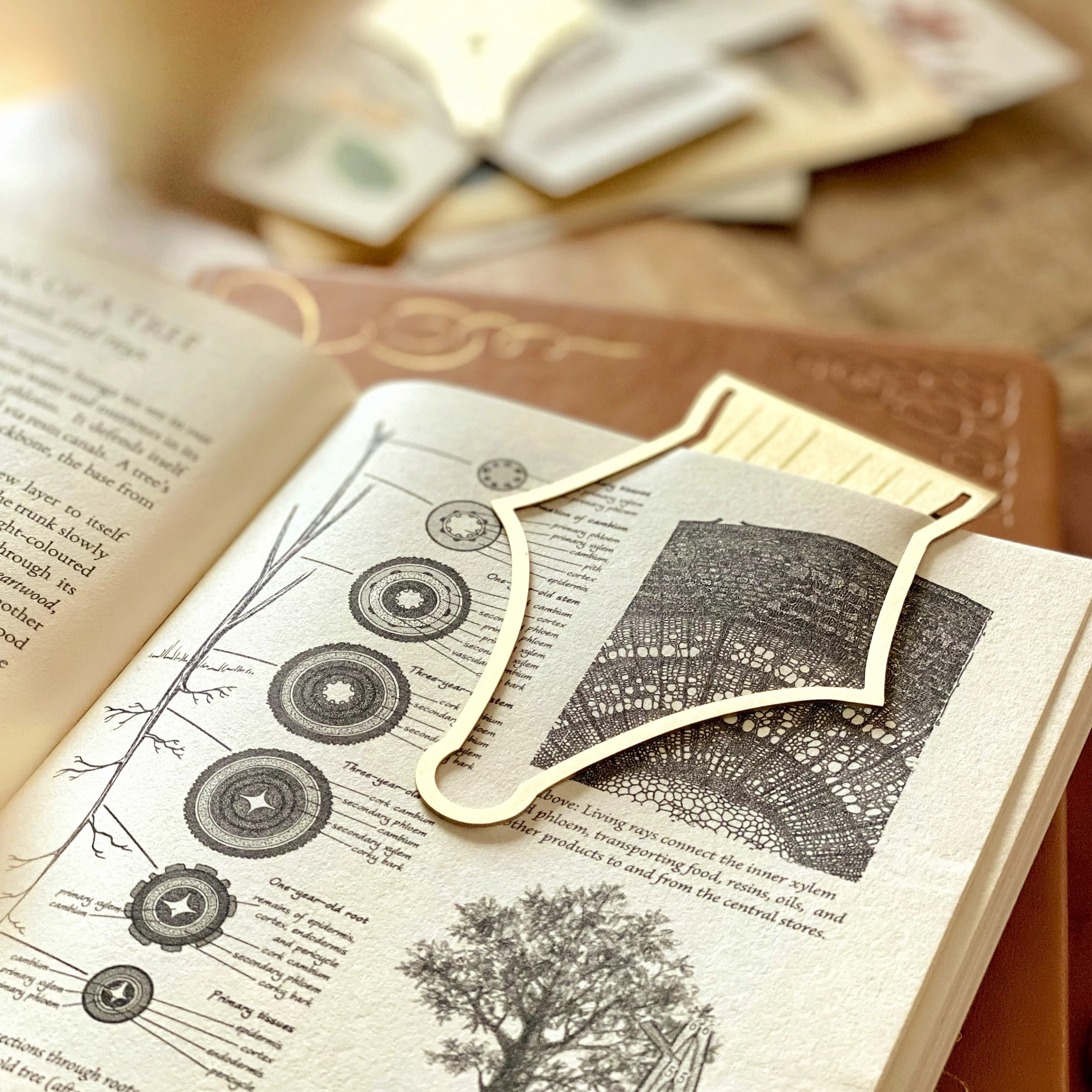 Esterbrook Nib Bookmark - Image 3