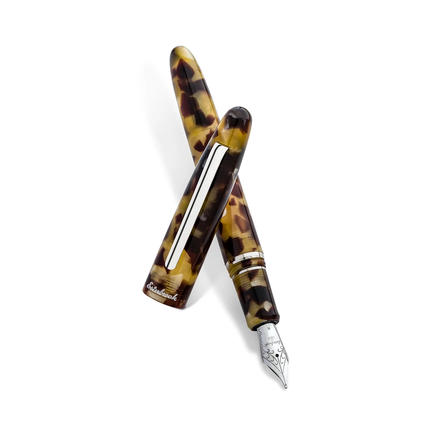 Tortoise Estie - Image 12